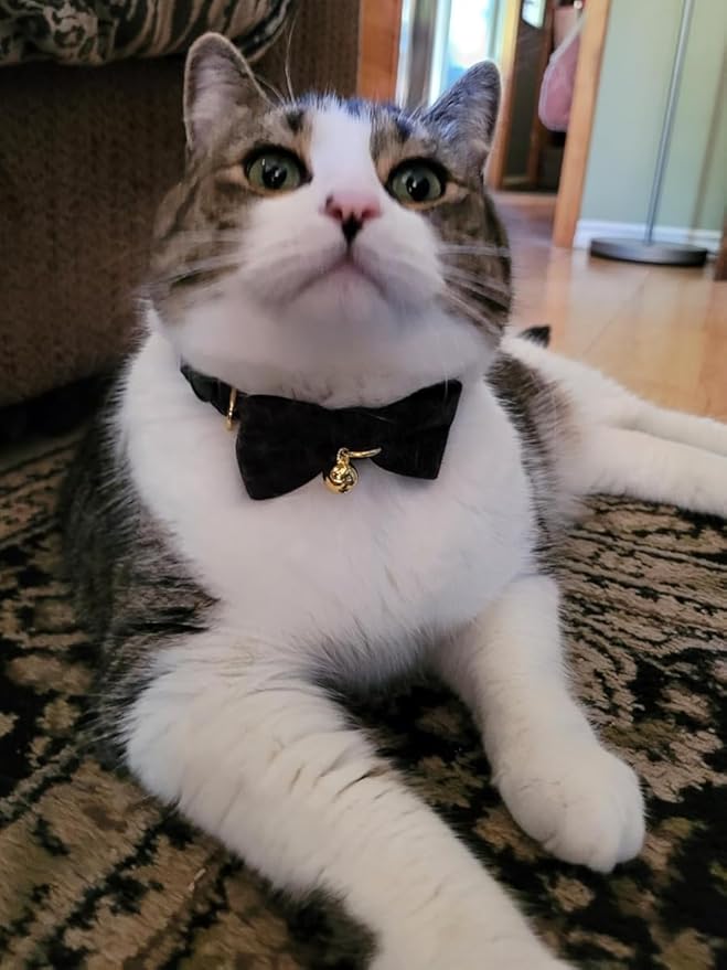 Cotton Breakaway Cat Collar with Bow Tie and Bell, Adjustable Cute Soft Corduroy Kitten Collars for Boy Cats