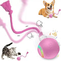 FUNNYDUCK Speed 2.0 Tail Interactive Cat Toy – Motion-Activated Rolling Ball with Chirping Sounds, USB Rechargeable Smart Ball Toy for Indoor Cats & Kittens, Enrichment & Exercise