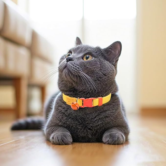 Elastic Cat Collar 2 Pack of Safety Quick Release Cat Collars with Bell Anti-Suffocation Kitten Puppy Collars(Yellow+Hot Pink)