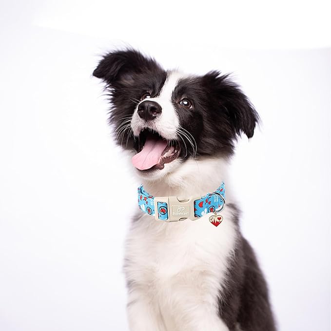 Valentines Dog Collar, Blue Heart Dog Collar, Cute Loving Heart Printed Collar with Quick Release Plastic Buckle for Boys&Girls Dogs, X-Small