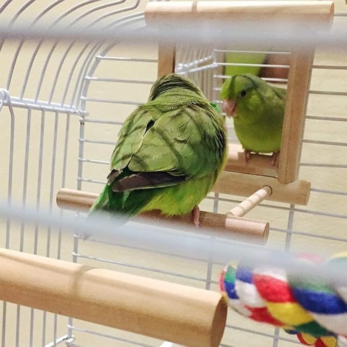 HANZE Bird Mirror With Swing, Hummingbird Perches for Parrots Stand, Wooden Toy for Macaws, Lovebird, Cockatoo, Parakeet, Conure, Finch, Cockatiels - 4 Pack