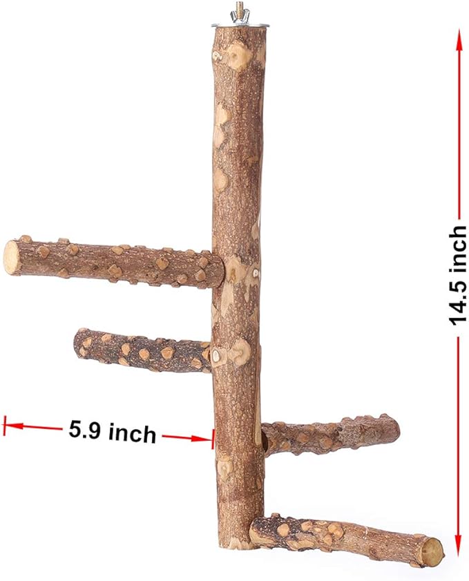 Bird Perch Nature Wood Stand for 3-4pcs Small Medium Parrots (M)