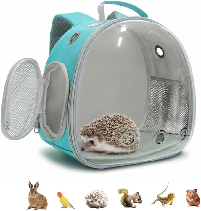 Small Animal Carrier Guinea Pig Backpack,Transparent, Breathable Backpack Carrier for Hedgehogs, Rabbits, Birds, Squirrels, Hamsters, Lizards Comfortable, Portable Travel Bag for Small Pets (Green)