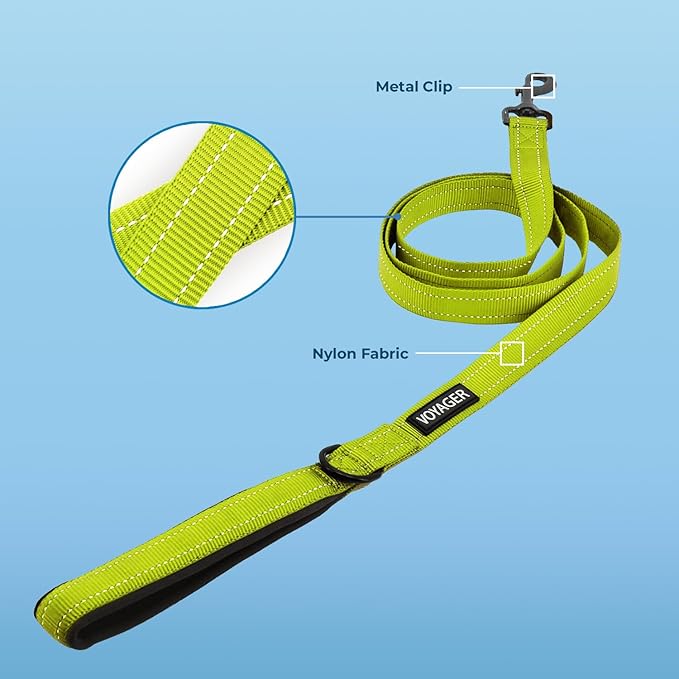 Best Pet Supplies Voyager Reflective Dog Leash or Collar with Neoprene Handle, for Small, Medium, and Large Breed Puppies, Cute and Heavy Duty for Walking, Running and Training - Lime Green (Leash), L