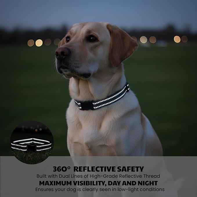 Dog Training Collar Replacement and Shock Collar Strap - 3/4 Inch Wide Adjustable Nylon Band with Reflective Replacement Strap for E Collar and Bark Collar (Black)