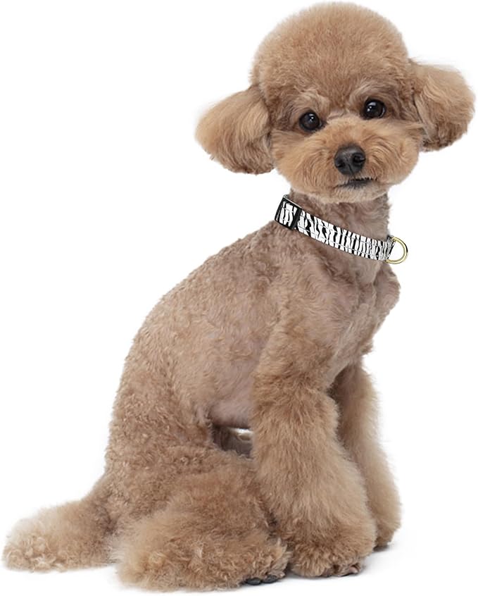 Reflective Dog Collar for Small Dogs Cats, Cute Boho Adjustable Heavy-Duty Nylon Puppy Collar for Boy and Girl Female, Soft Pet Accessories with Quick Release Buckle, Stylish Zebra Print