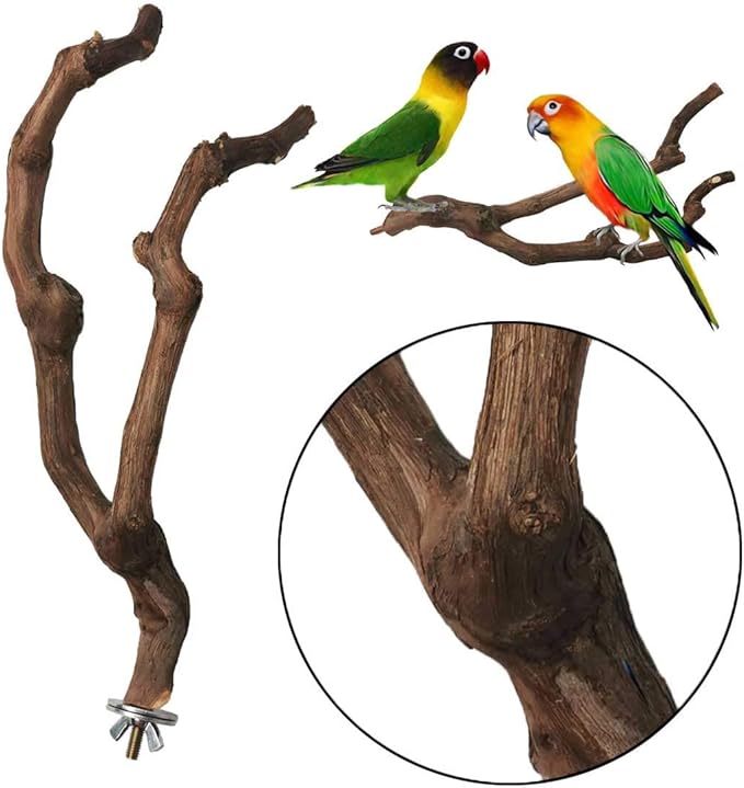PINVNBY Natural Parrot Perch Bird Stand Pole Wild Grape Stick Paw Grinding Fork Parakeet Climbing Standing Branches Toy Chewable Cage Accessories for Small Lovebirds Budgies Cockatiels 2PCS