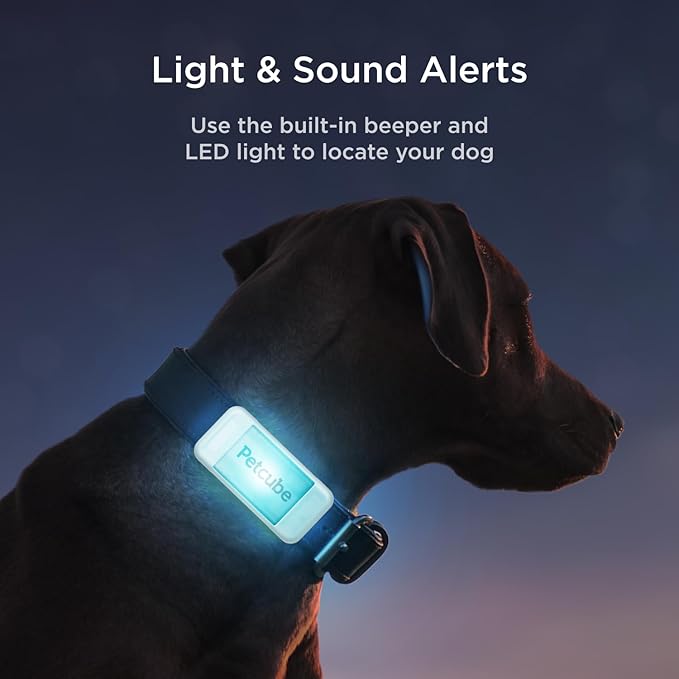 Petcube GPS Tracker for Dogs – Real-Time Location Tracking, Escape Alerts & Virtual Fences, Activity & Wellness Monitoring, Glow-in-The-Dark, Water & Dust Resistant