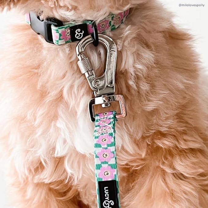 Lucy & Co. Dog Collar - Durable Lightweight Designer Collar for Pets - Adjustable Metal Safety Buckel. (Just Chill Collar).