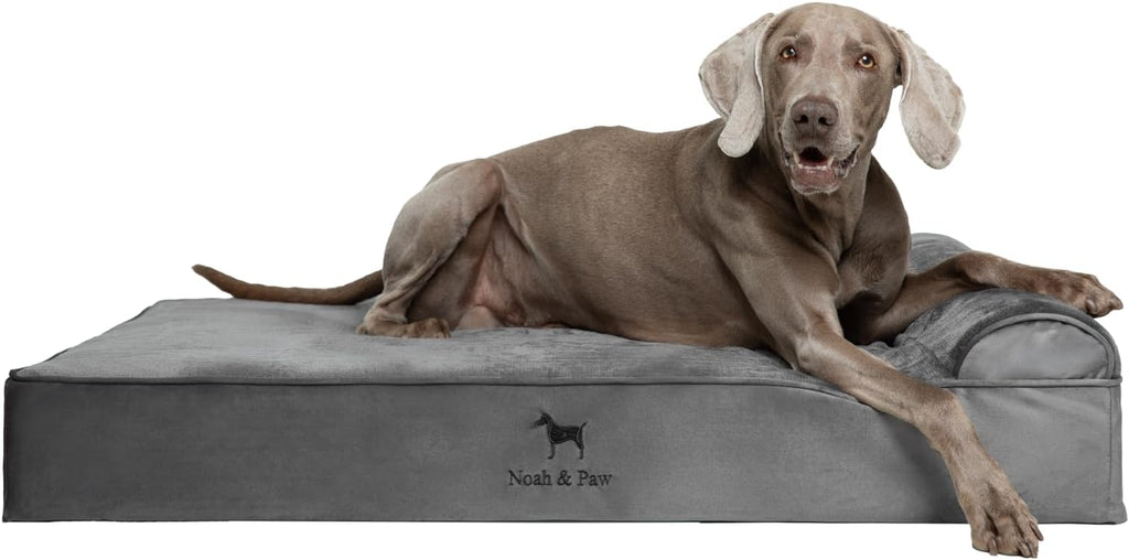 NOAH & PAW XL Dog Bed, 45x35x9.1 Inch, Orthopedic Large Dog Beds, Eggshell Memory Foam Infused with Cooling Gel, Waterproof, Machine Washable, Includes Inner Cover (Velvet Collection)