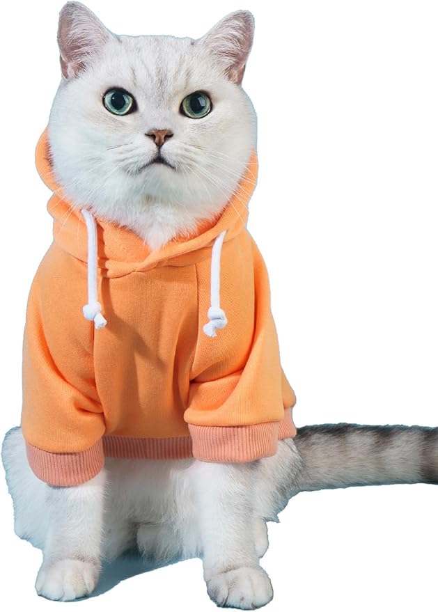 QWINEE Basic Dog Hoodie Sweatshirt Puppy Sweater Warm Cat Costumes Pet Clothes for Chihuahua Puppy Kitten Small Medium Dogs Orange Small