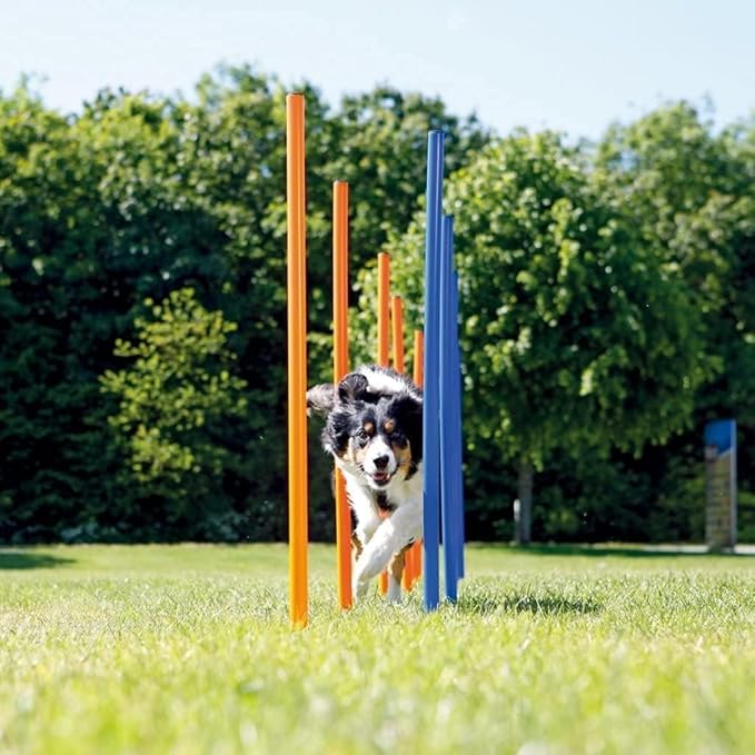 PAWISE Dog Agility Training Equipment,12 Weave Poles for Dogs with Stakes & Carry Bag, Dogg Agility Training Set for Outdoor Obstacle Course, Backyard Dog Exercise & Training Equipment for All Breeds