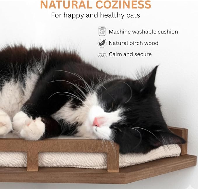 INICIO Cat Wall Shelves - Safe and Sturdy Cat Wall Furniture - Stylish Natural Wood Corner Shelf with 3 Steps for Cats up to 15lbs - Cushioned Perch and Stairs for Climbing and Playing - Dark Brown