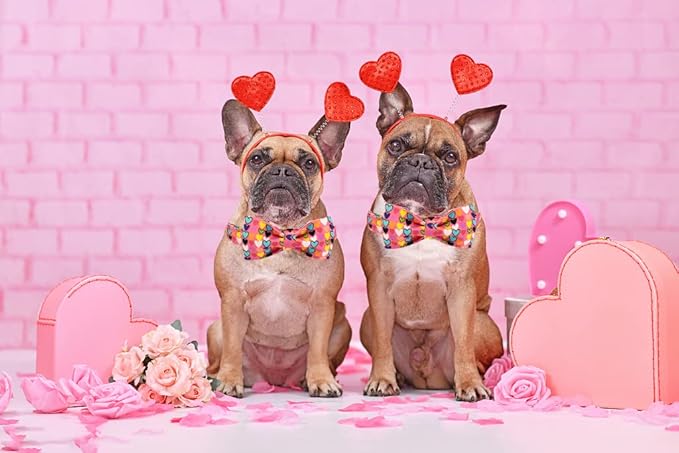 Lionheart glory Valentine's Dog Collar, Dog Collars with Bow, Pet Collar Adjustable Dogs Bowtie Pet Collars for Small Dogs