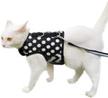 Cat Harness and Leash for Walking Escape Proof, Adjustable Cat Vest Harness, Padded Stylish Cat Walking Jackets, Polka Dot Black, XX-Large