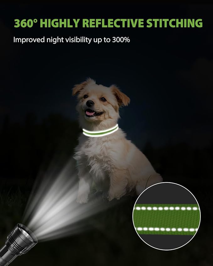 Joytale Small Dog Collar, Reflective and Adjustable Nylon Collar with Quick-Release Buckle, Lightweight No-Choke Design for Small Dogs, Green, 5/8" Width