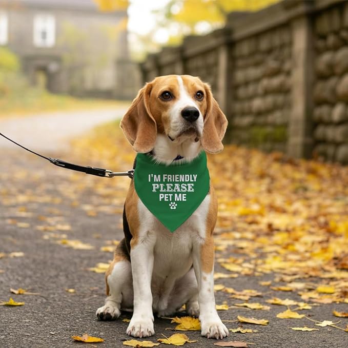 I'm Friendly Please Pet Me Dog Bandana - Green Triangle Scarf for Small to Large Dogs (D50)