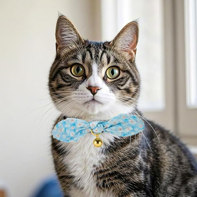 Bunny Ear Bowtie Cat Collar with Bell 2 Pack Cotton Breakaway Kitten Collars with Removeable Bow Stylish Cat Collars(Floral Blue)