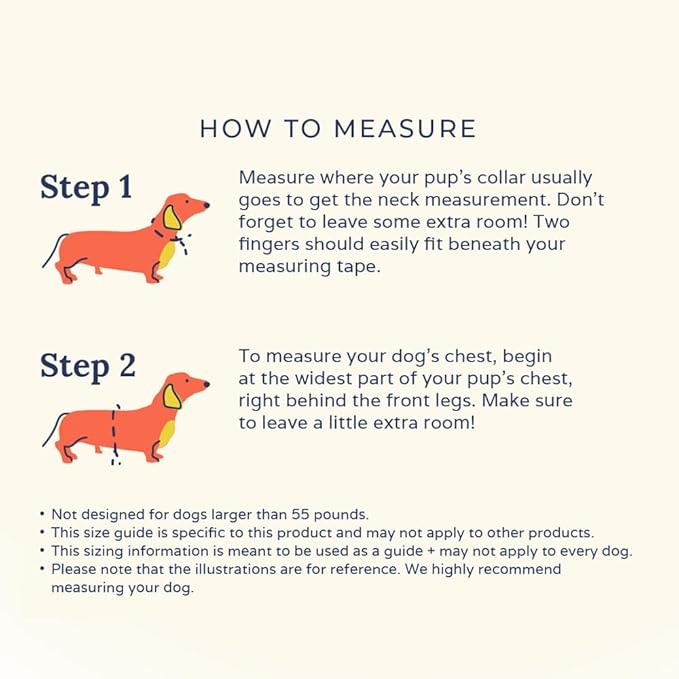 Lucy & Co. Cheery Cherries, Cute Reversible Dog Harness Walking Halter - Best Designer Pet Harnesses for XS - XL Dogs - Padded Adjustable Vest for Easy Walking (Medium)