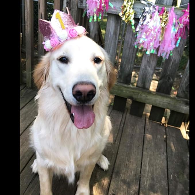 Pet Crown Dog Birthday Hat Reusable Birthday Party Crown Girl Cat Doggie Headband Hats with 0-9 Figures Charms Gift Grooming Accessories with Glue Dots Pack of 1(Pink)