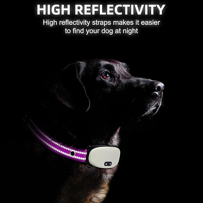 Collar Replacement Strap, Reflective Replacement Nylon Collar Strap Dog GPS Training Bark Receiver Collars, Durable Adjustable E Collar Straps for Small Medium Large Dogs, Purple
