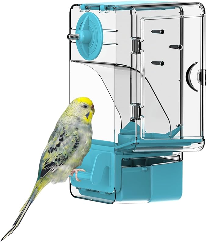 Automatic Bird Feeder, No Mess Bird Cage Feeder with Perch Multi-Functional Holder for Fruits Vegetables for Parakeet Canary Cockatiel Finch (Blue)