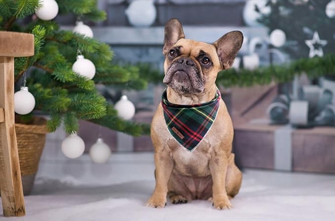 Lionet Paws Christmas Dog Bandana Washable Cotton Handkerchief Scarf Triangle Green Bandanas for Small Medium Dogs Girl Boy