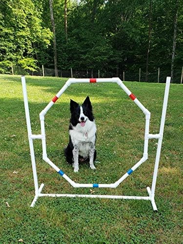The Dog Agility Shop Dog Jump - Practice Tire/Hoop Jump - PVC Material - 29 Inch Diameter