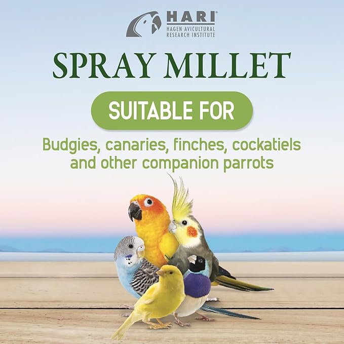 Living World – Millet Spray for Birds,7 Oz – Premium Treat for Budgies,Canaries,Finches,Cockatiels and Other Pet Birds,(Pack of 2)