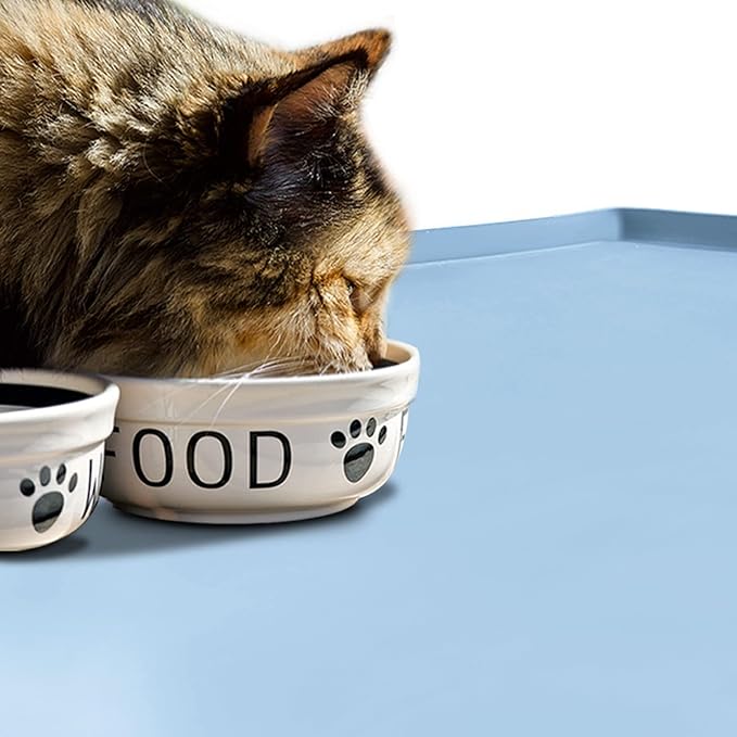 Dog Food Mat,Silicone Waterproof Food Tray,Non Slip Pet Bowl Mats Placemat,0.6" Raised Edge,Suitable for Most Small and Medium Sized Pets,24" x 16"