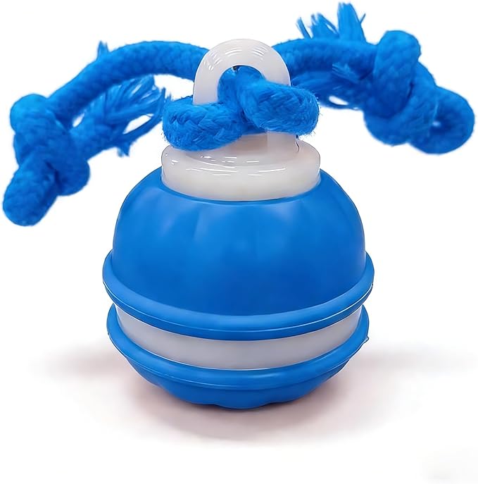 Zealburst Interactive Dog Toy, 360° Smart Automatic Rolling Moving Toy for Bored Dogs & Cats, Self-Moving Pet Toy,Blue
