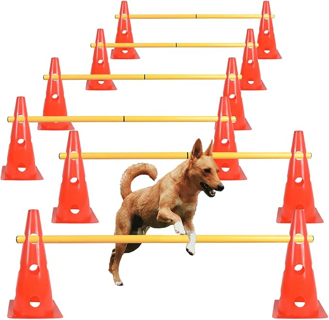 TNZMART Dog Agility Hurdle Cones Pet Jump Training Set Dog Agility Course Backyard Set Adjustable Obstacle Training Set (Orange, 6 Sets)
