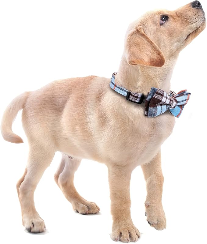 Faleela Soft &Comfy Bowtie Dog Collar,Detachable and Adjustable Bow Tie Collar,for Small Medium Large Pet (L, Blue)