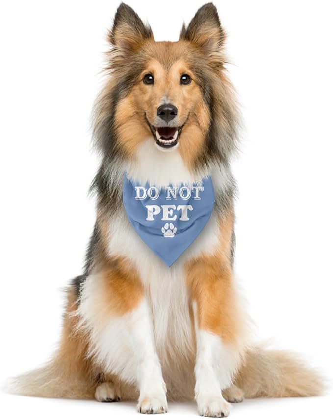 Do Not Pet Dog Bandana, Baby Blue Dog Bandana, Funny Cute Dog Bandana, Pet Dog Triangle Scarf, Pet Dog Scarf Accessories, Gift for Dog Lover, Dog Bandana for Small Medium Large Dogs (E60)
