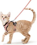 rabbitgoo Cat Harness and Leash for Walking, Escape Proof Soft Adjustable Vest Harnesses for Cats, Easy Control Breathable Reflective Strips Jacket, Light Salmon Pink, XS