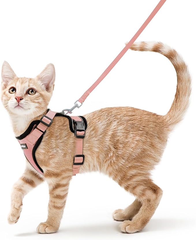 rabbitgoo Cat Harness and Leash for Walking, Escape Proof Soft Adjustable Vest Harnesses for Cats, Easy Control Breathable Reflective Strips Jacket, Light Salmon Pink, S
