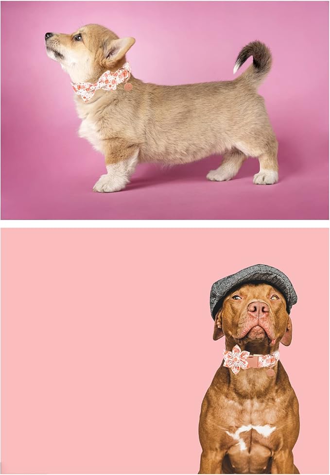 UP URAR PUP Valentine's Dog Collar With Bowtie for Puppy Girl Boy Dog or Cat, Gift Collar With Metal Buckle, Wedding Dog Collar, White, XS