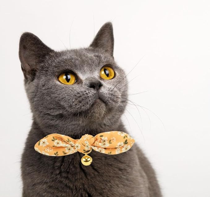 Bowtie Cat Collar with Bell, 2 Pack Cotton Breakaway Kitten Collars with Removeable Bow Girl Cat Collars, Floral Yellow & Beige
