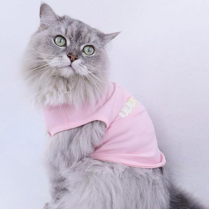 Custom Dog Shirt,Personalized Pet Apparel with Name Text Photo Image,Lightweight Breathable Puppy Kitten Cotton Vest for Small Medium Dogs Cats,Puppy Gift (Blue, Medium)