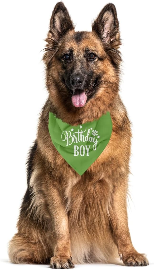 Happy Birthday Dog Bandana for Small Medium Large Dogs - Light Green, Boy 1st Birthday Gift for Dog Lovers (A20)