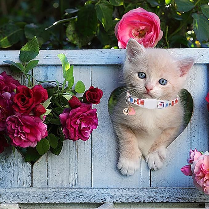 Lionet Paws 2pcs Pack Valentine's Day Cotton Cat Collar,White Breakaway Buckle with Colorful Pink Heart Cute Adjustable Cat Kitten Collar,Ideal for Girl Cats