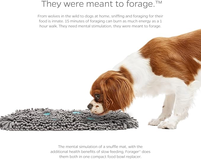 Pet Parents® Forager® Mats, Snuffle Mat for Dogs with SoftSnout & Non-Slip Backing Technology, Slow Feeder Dog Bowls & Snuffle Mat for Large Dogs and Small Dogs (Meadow 19")