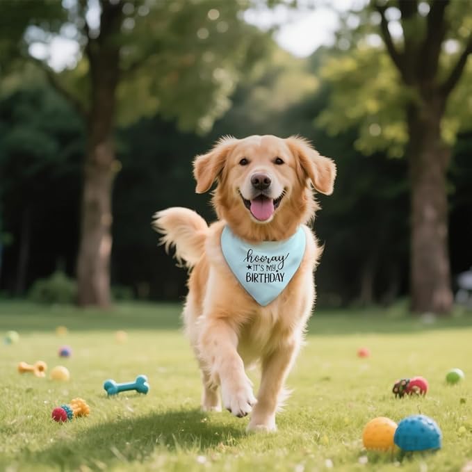 Hooray It's My Birthday Blue Dog Bandana, Cute Birthday Gifts for Dog Lover New Pet Owner, Pup Scarf Accessory Photo Prop for Festive Celebration Party Dinner, First Birthday Supply for Pup