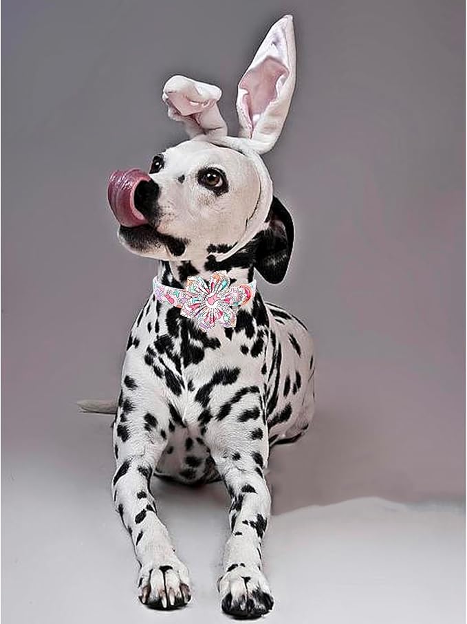 Lionheart glory Easter Day Dog Collar with Flower Dog Collar for Large Dogs, Rabbits Dog Collars Colorful Dog Collar Spring Collars Pet Collar Flowers