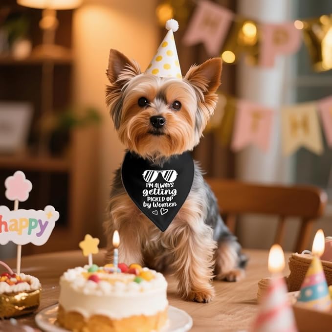 I'm Always Getting Picked Up by Women Black Dog Bandana, Christmas Birthday Gifts for Dog Mom Dad, Funny Social Puppy Scarf for Dogs Lover, Humor Outfit Prop Photoshoot