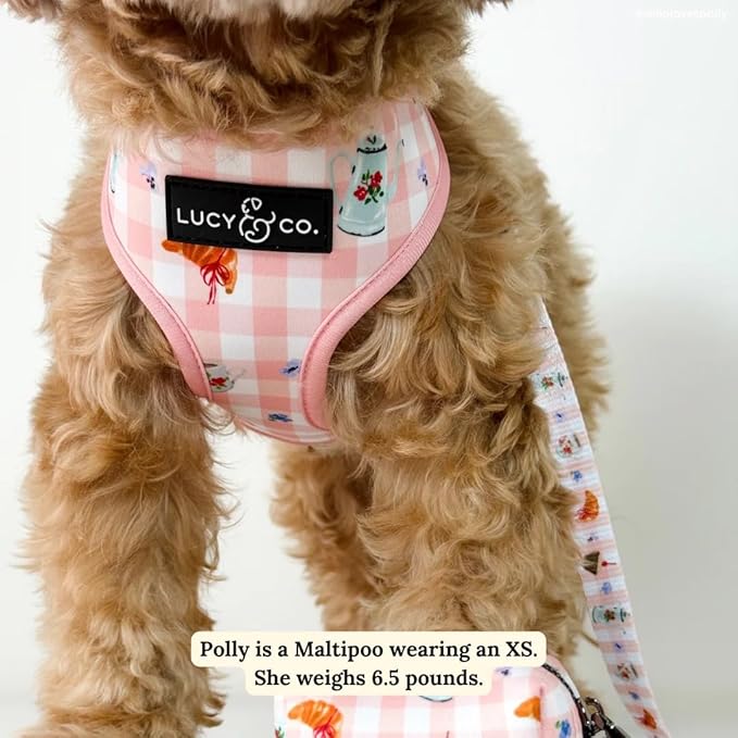 Lucy & Co. Sipping Slowly Reversible Dog Harness, Adjustable Comfort Fit with Dual Leash Attachments, X-Small