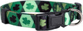 Native Pup St Patricks Dog Collar- Saint Patrick Green Shamrock Pet Collars- St. Patrick’s Lucky Irish- Cute Boy Girl Puppy Gift- Adjustable for Small, Medium, Large Breeds (Argyle, Medium)