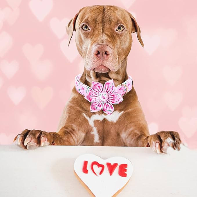Lionheart Glory Valentine's Day Collar with Flower, Pink with Bowtie Spring Collar for X-Large Dogs