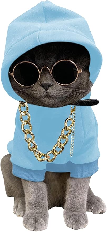 QWINEE 3Pcs Dog Hoodie Cat Apparel Dog Custume Set with Necklace and Sunglasses Pet Clothes for Puppy Small Medium Dogs Cats Light Blue XX-Small