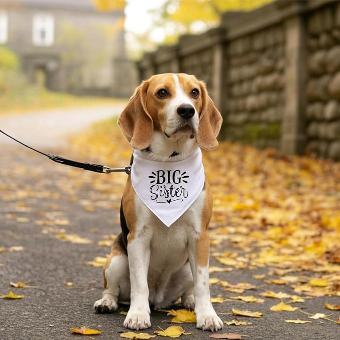 Big Sister Dog Bandana, White Dog Scarf Accessories, Pet Triangle Scarf, Pet Bandana for Small Medium Dogs, Baby Announcement Dogs Bandanas (M)